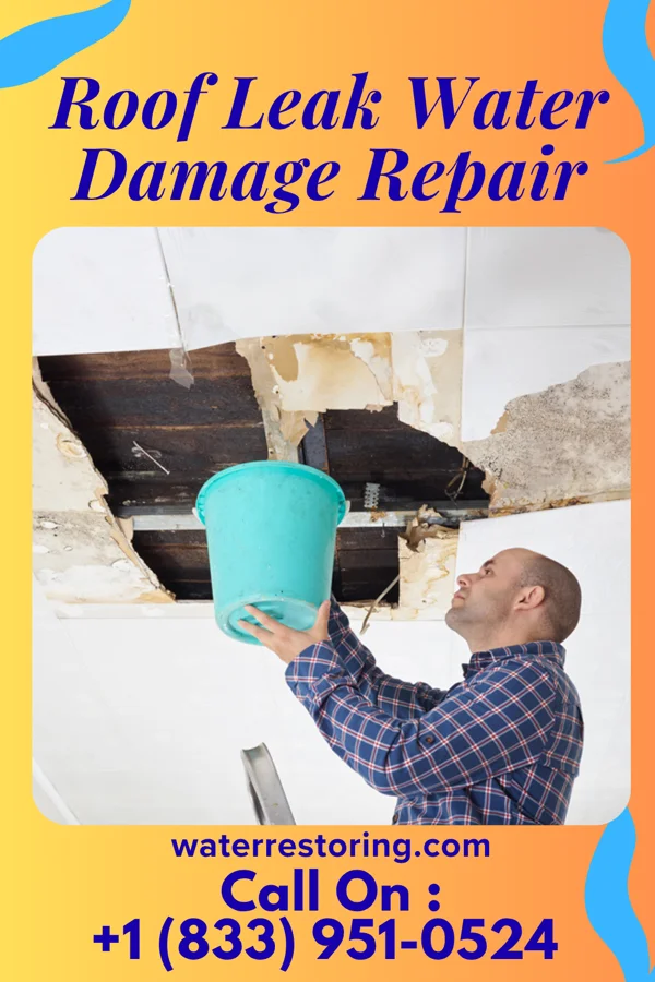 Roof Leak Water Damage Repair in Claremont, VA